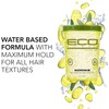 ECOCO Eco Style Gel, Olive Oil, 80 Ounce