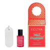 ECOYA Festive Fragrance Duo, Fresh Pine