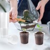 120 Pcs 2" Clear Mini Nurery Pots, Seedling Pots with