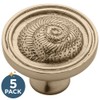 FRANKLIN BRASS Seaside Nautilus (5-Pack) Cabinet Knobs Champagne Bronze Drawer
