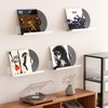 WELDUN Floating Shelves, Set of 2 Wall Mounted Shelf, Picture