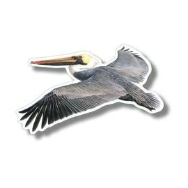Earth Sky + Water - Brown Pelican - 3.5_ Sticker