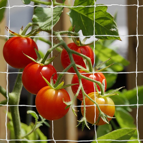 Tcamp Tcamp Trellis Netting for Climbing Plants, Cucumber Trellis for