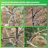 JAMSSOW Pack of 26 8 cm Branch Separators for Fruit