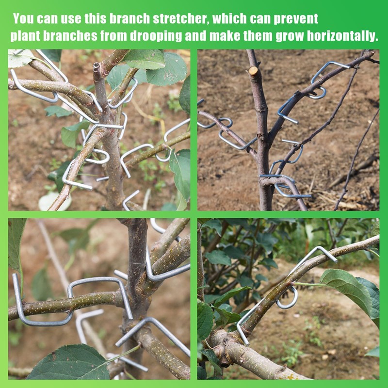 JAMSSOW Pack of 26 8 cm Branch Separators for Fruit