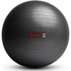 Sunny Health & Fitness Premium Yoga Ball Large 75CM -