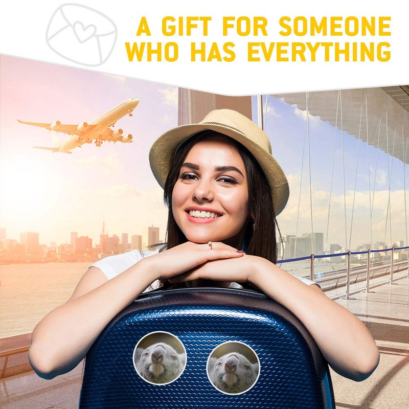 Vinyl Stickers (Set of 2) 7.5cm - Koala Bear Close