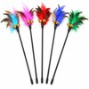 5-Piece Cat Feather Wand Toy Set for Interactive Play –
