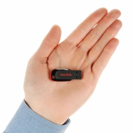 SanDisk Cruzer Blade 128GB (2 Pack) USB 2.0 Flash Drive Jump Drive Pen Drive SDCZ50-128G - w/ (1) Everything But Stromboli (tm) Lanyard