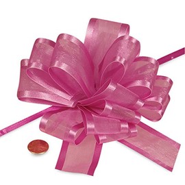 Paper Mart Hot Pink Sheer Pull Bow with Satin Edges 4 | Quantity: 12 Width 5/8""