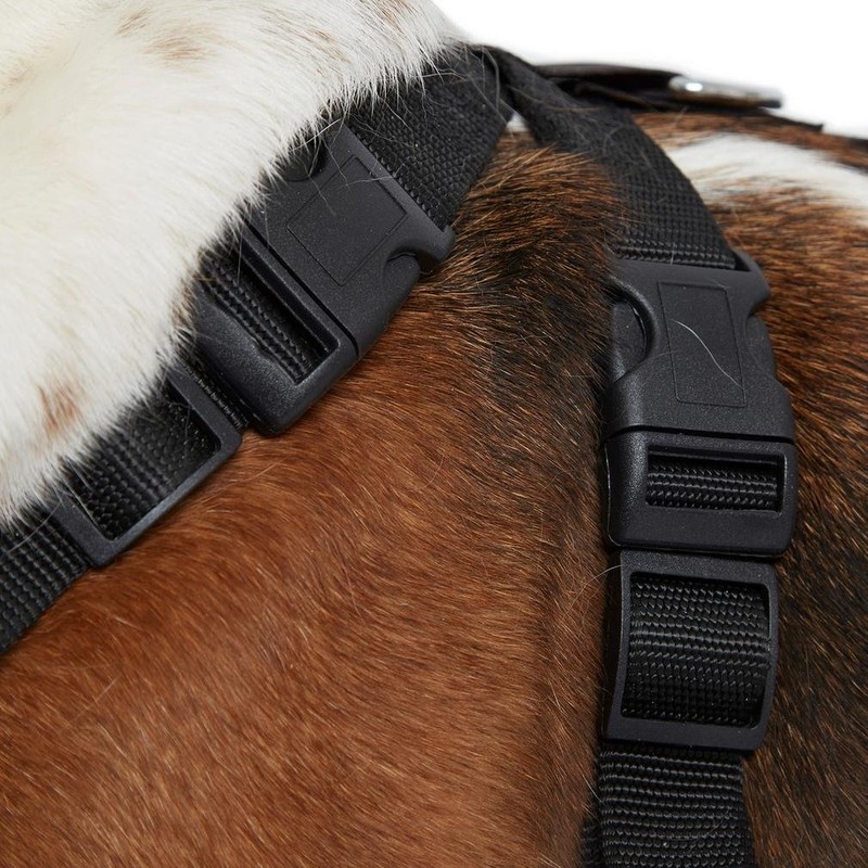 Pets Go 2 Dog Safety Harness For Walking & Car