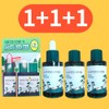 Round Lab Pine Soothing Cica Ampoule 30ml (+30ml+30ml) Triple Planning