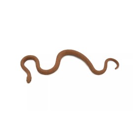 Unbranded Eastern Brown Snake, Australia, Rubber , Model Toy Realistic3 1/2" F3052 B364195