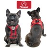 Dog Harness, Collar, Lead Set, Leash Set, Chest Harness, Check