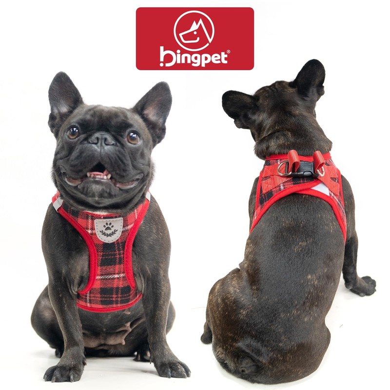 Dog Harness, Collar, Lead Set, Leash Set, Chest Harness, Check