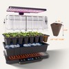 LetPot 40 PCS Seed Starter Sponges, Square Replacement Grow Sponges