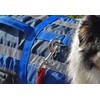 BLUESTORM Advanced Dog Vest with Reflective Stripes/Adjustable Neck Strap |