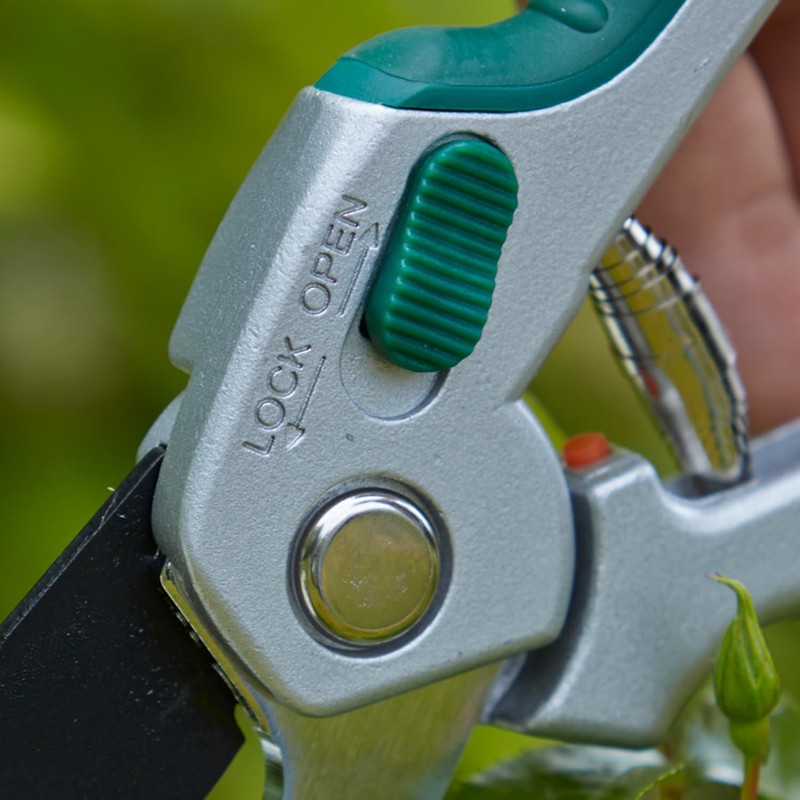 Carters - Bypass Secateurs - Garden Pruning Tool - Ideal