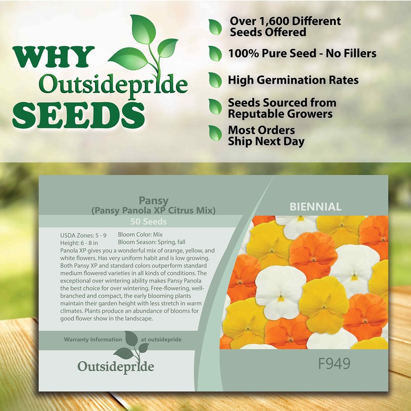 Outsidepride 100 Seeds Viola Pansy Panola Citrus Mix Flower Seeds