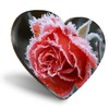 1 x Heart Coaster - Frosted Red Rose Flower Winter Cork Backed MDF Glossy Tea Coffee Accessory #50954