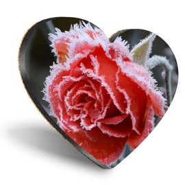 1 x Heart Coaster - Frosted Red Rose Flower Winter Cork Backed MDF Glossy Tea Coffee Accessory #50954