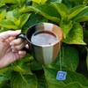 Organic Positively Tea Company, Decaf English Breakfast Black Tea Bags,