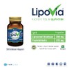 TAB İlaç Lipovia Lipozomal Glutatyon 30 Kapsül