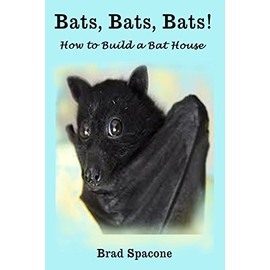 Bats, Bats, Bats!: How to Build a Bat House