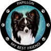 Pet Gifts USA My Best Friend Papillon - Black &