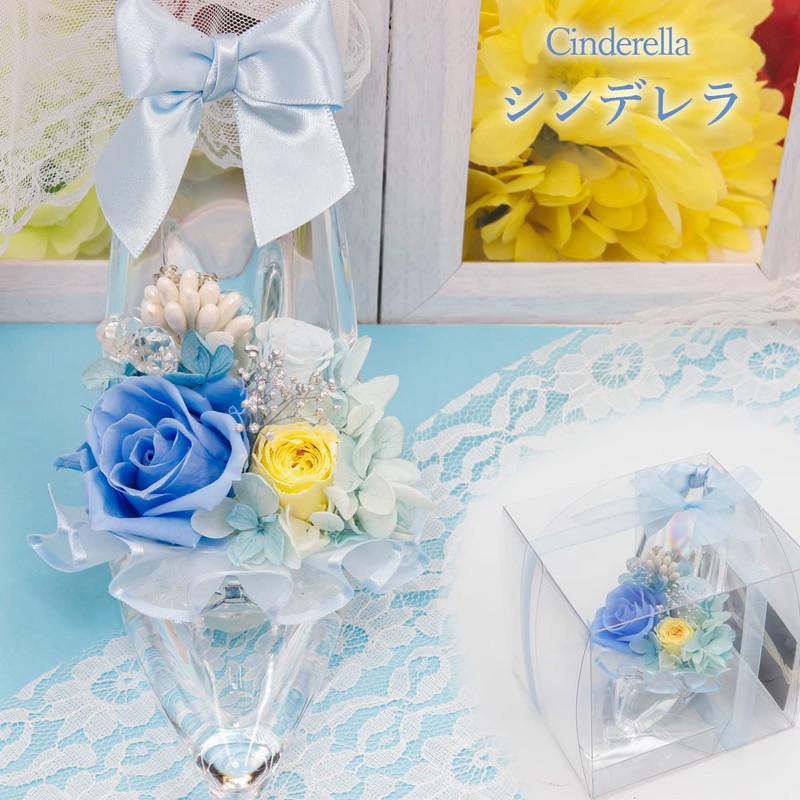 Natural Diamond Powder with puriza-budohurawa-・purinsesu Shoe