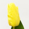 DPI Artificial Tulips Natural Touch in Bunch Height 35 cm