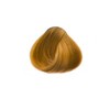 Goldwell TOPCHIC HAIR COLOR seesand 8/B 60ml