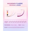 NAGARAKU Colourful Individual Eyelashes, 1:1 Eyelashes, 8 Mixed Rainbow Colours,
