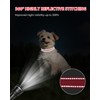 Joytale Small Dog Collar, Reflective and Adjustable Nylon Collar with