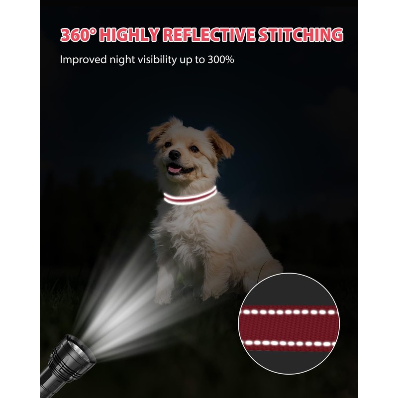 Joytale Small Dog Collar, Reflective and Adjustable Nylon Collar with