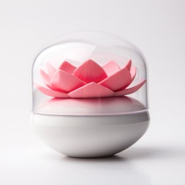 Qualy-Cotton Bud Box Lotus White/Pink