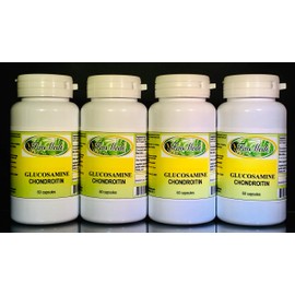 Favmedsusa Glucosamine Chondroitin + MSM - 240 (4X60) Capsules