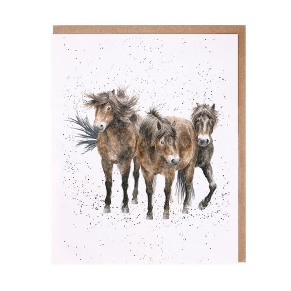 Wrendale Designs Greeting Card - THREE AMIGOS (Horses)