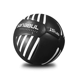 Sanabul Lab Series - Pelotas medicinales para ejercicio y fitness, 14 pulgadas de diámetro