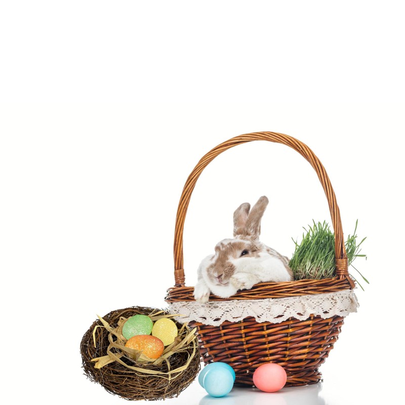 Lizzy 1 x Easter Birds Nest | 3pc foam eggs