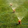 Domestify Portable Sprinkler Set with 5 Spray Settings