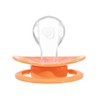 Landofgenie Adult Size Large Shield Pacifiers Butterfly Shaped Cutie Pacifier