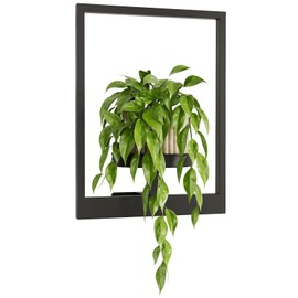 GENTINGBRO Wall Planters for Indoor Plants Wall-Mounted Plant Holder Outdoor Metal Hanging Planters Outdoor Plant Stand Indoor for Living Room, Window, or Balcony – Black Modern Design