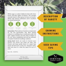 Survival Garden Seeds - White Sage Seeds for Planting - Grow Sustainable Smudging Herbs - 1 Packet with Instructions to Plant & Grow in Your Home Garden - Non-GMO Heirloom Variety