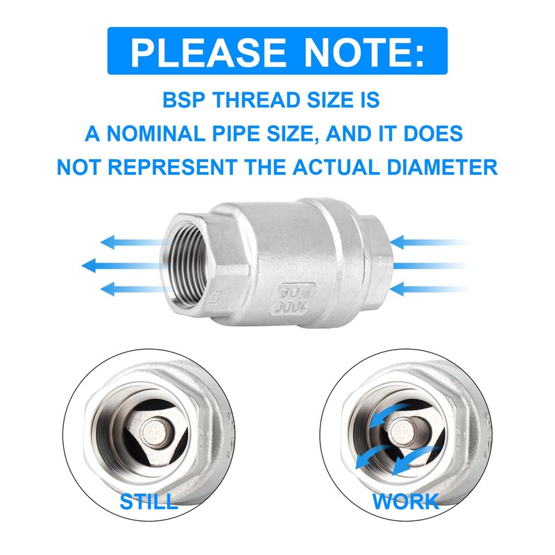 ERGAOBOY 3/4" BSP Female x Female Thread, 304 Cast Check