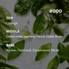 innisfree 이니스프리 아일 넘버 바디 앤 핸드 워시 [그린티 에썽스]