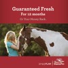 Manna Pro Simply Flax for Horses | Omega-3 Fatty Acids