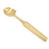 Stainless Steel Ice Cream Scoop, Multipurpose Cookie Scoop with Long