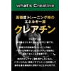 REYS レイズ クレアチン パウダー 500g 山澤礼明 監修【使用目安 約100回分】クレアチンモノハイドレート（国内製造）100%使用 ノンフレーバー