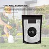 400g Organic Potassium Bicarbonate Powder - Food Grade Pure FCC